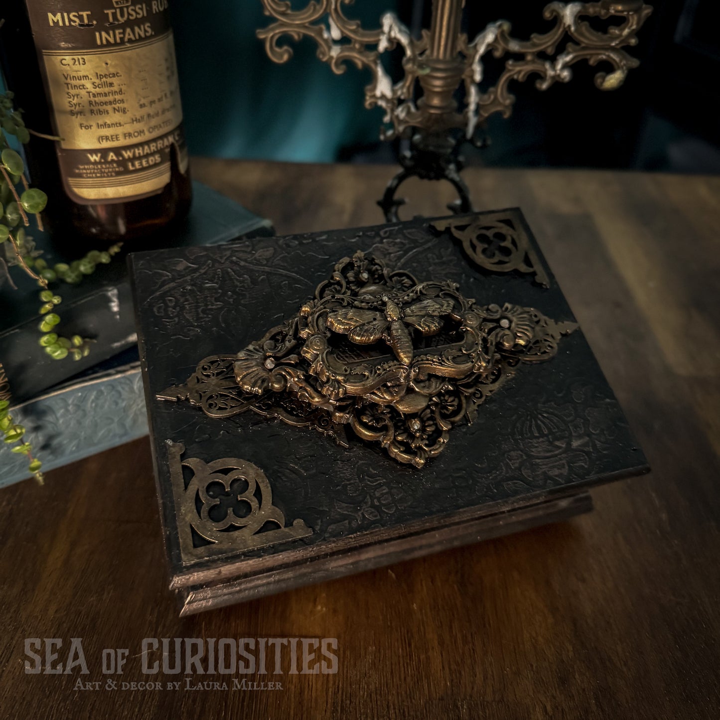 Gothic & Baroque Moth Ornamental Trinket Box for Jewellery & Keepsakes