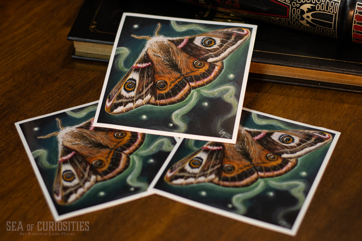 Emperor Moth Vinyl Sticker