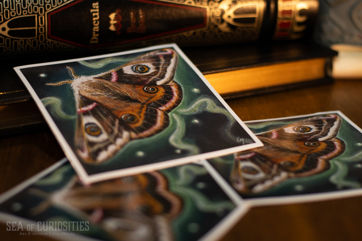 Emperor Moth Vinyl Sticker