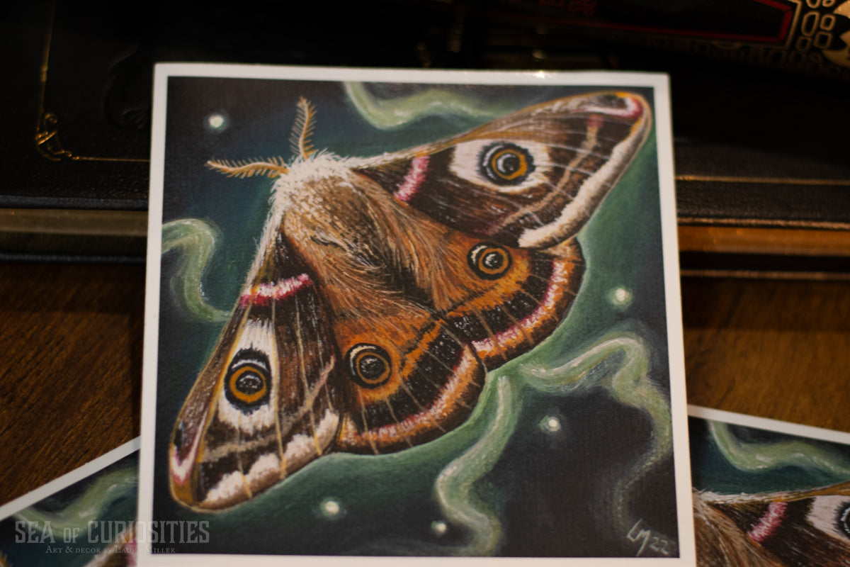 Emperor Moth Vinyl Sticker