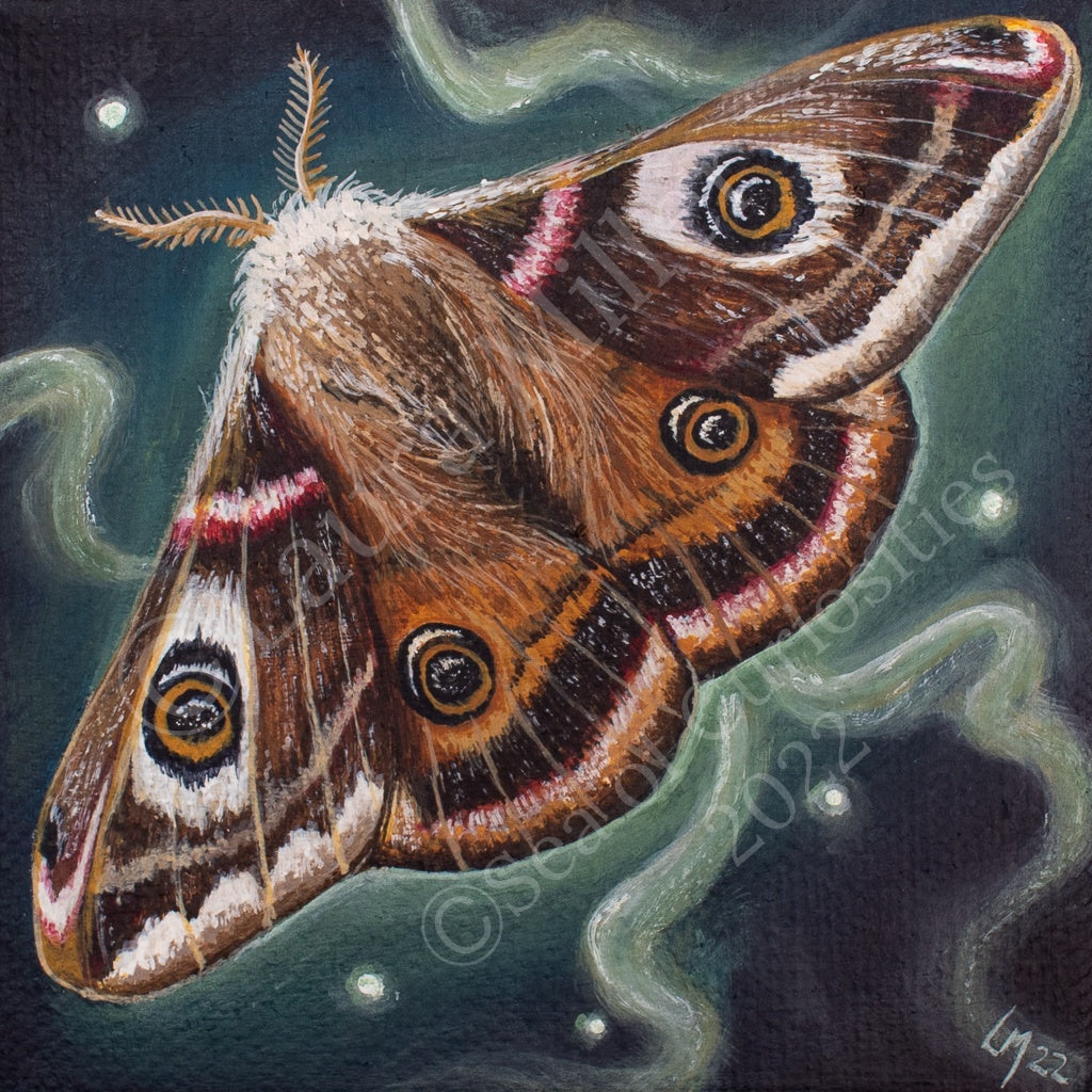 Emperor Moth Vinyl Sticker