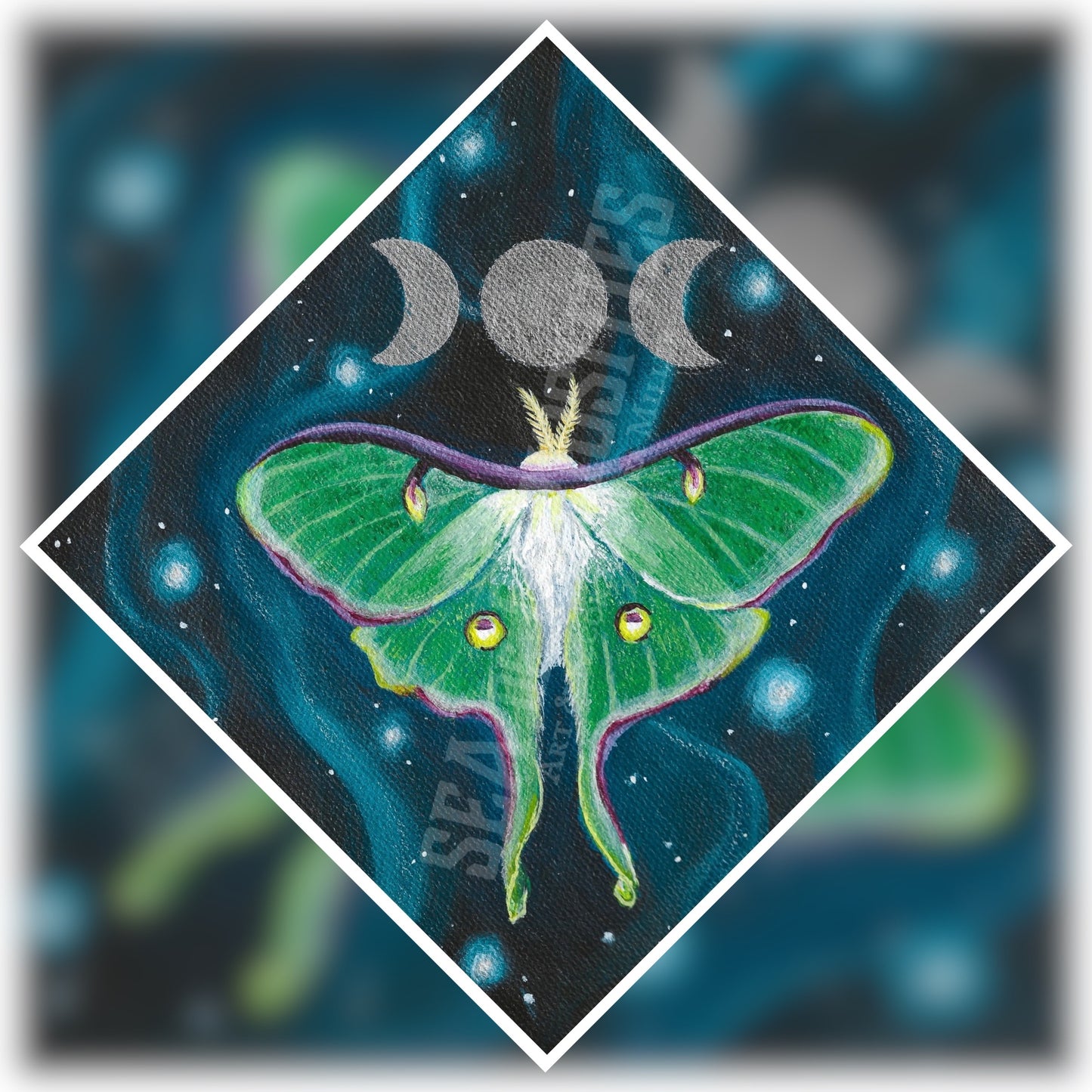 Luna Moth - Art Print