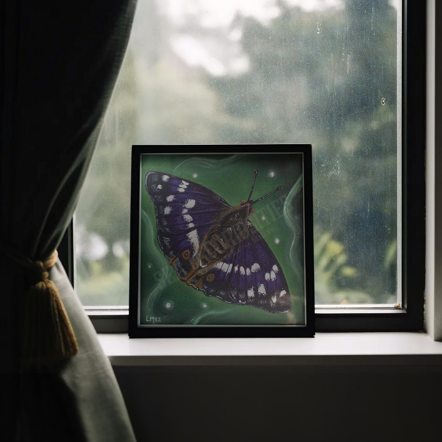 Purple Emperor Butterfly - Art Print