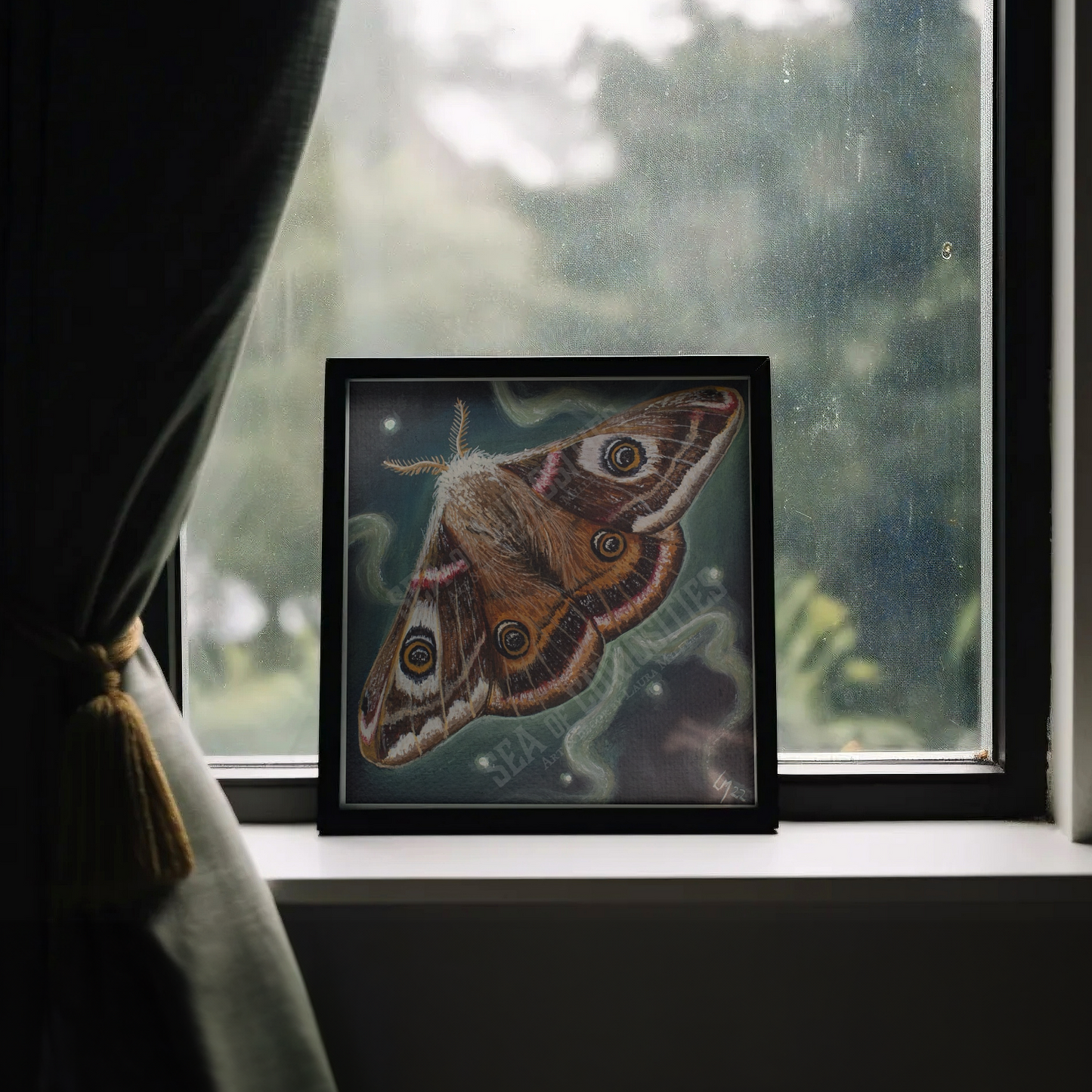 Emperor Moth - Art Print