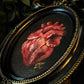 Anatomical Heart - Gothic, moody, framed original oil painting