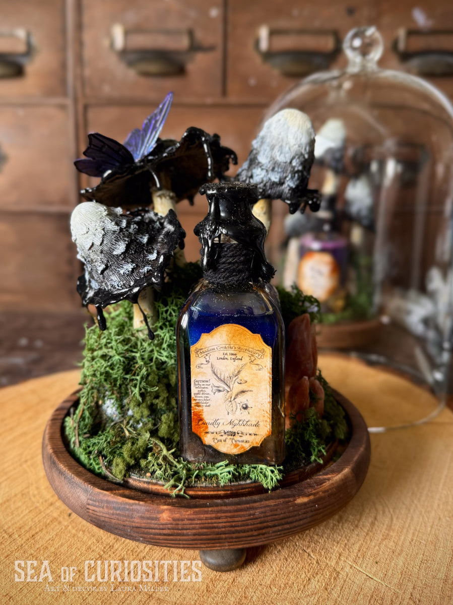 Deadly Nightshade Inky Cap Forestcore Glass Cloche