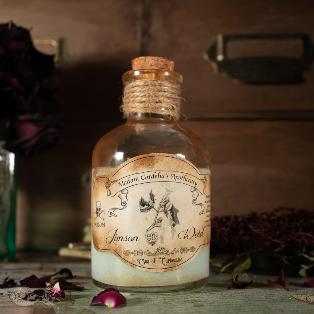 Jimson Weed Poisonous Plant collection - Halloween Apothecary/Potion Bottle