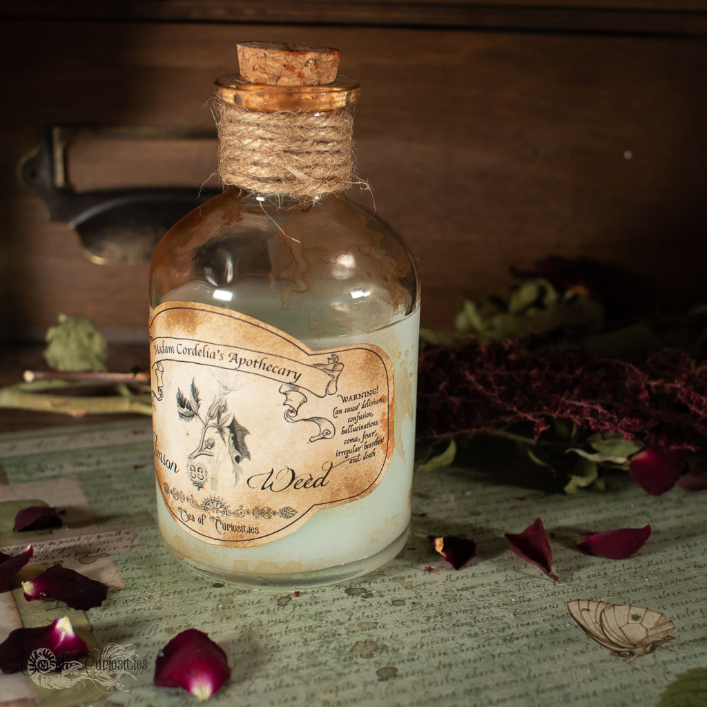 Jimson Weed Poisonous Plant collection - Halloween Apothecary/Potion Bottle