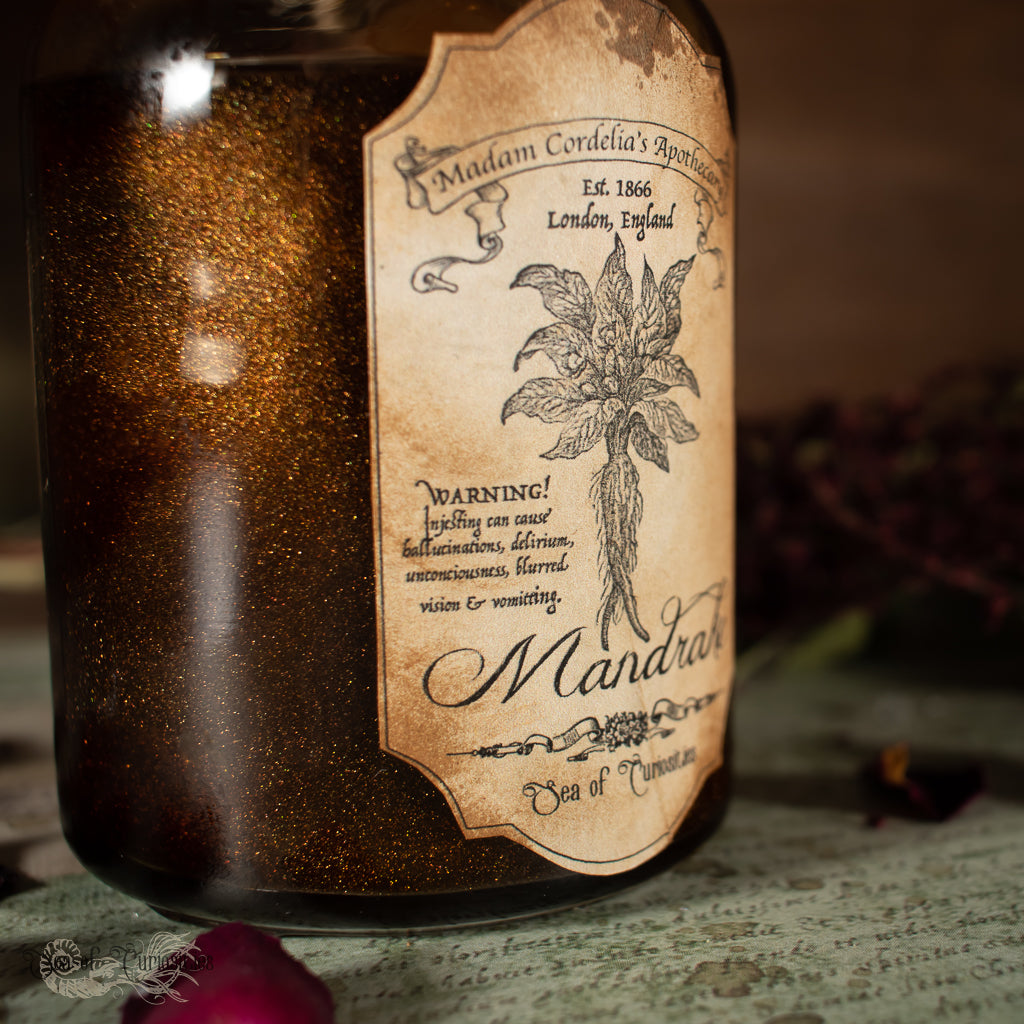 Mandrake Poisonous Plant collection - Halloween Apothecary/Potion Bottle