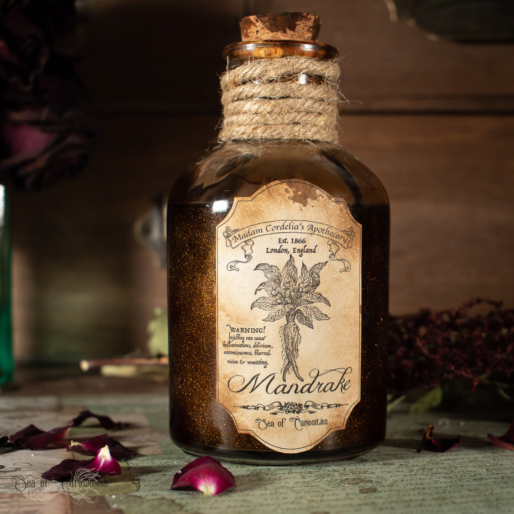 Mandrake Poisonous Plant collection - Halloween Apothecary/Potion Bottle