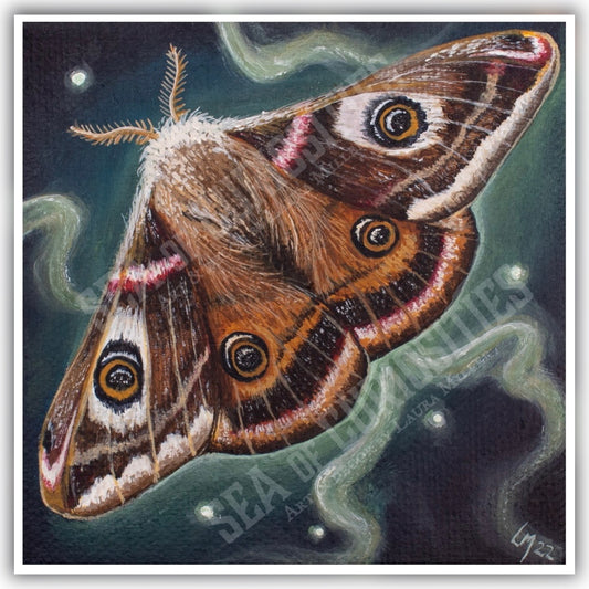 Emperor Moth - Art Print