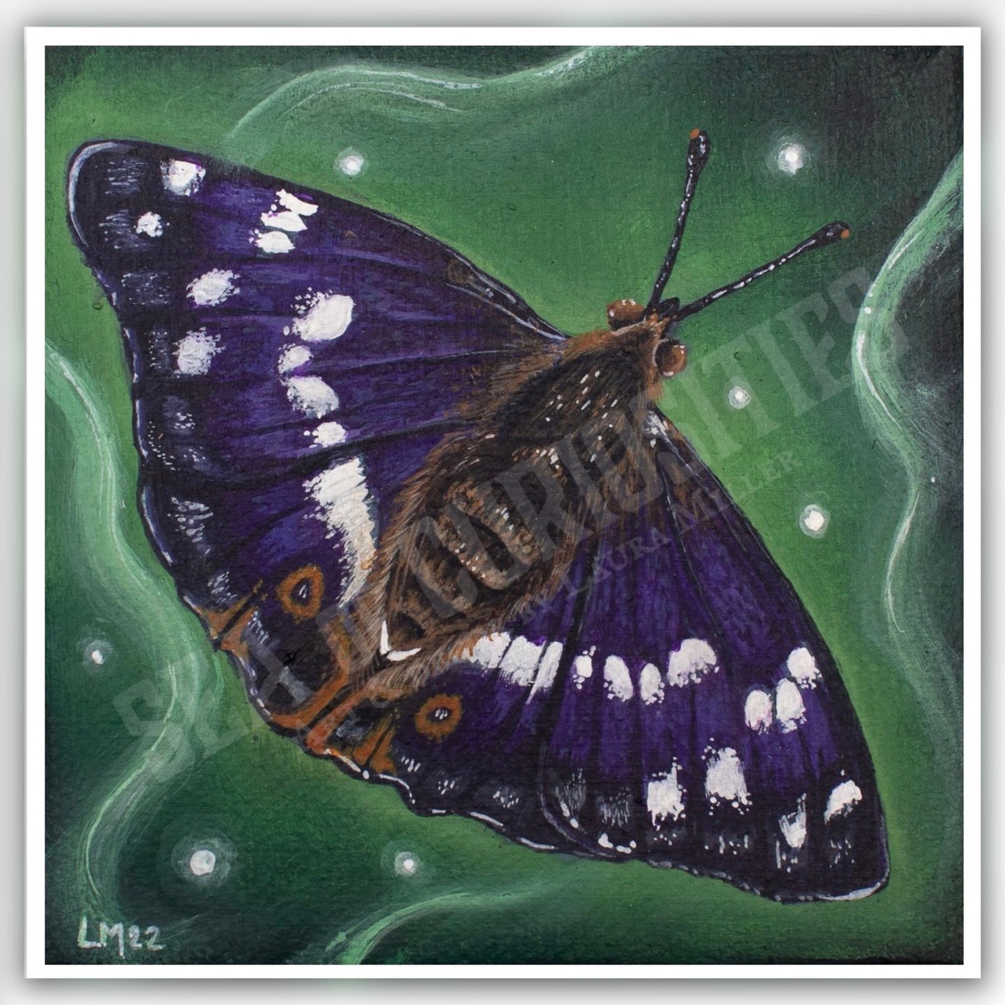 Purple Emperor Butterfly - Art Print