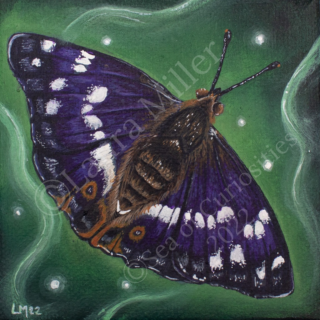 Purple Emperor Butterfly Vinyl Sticker